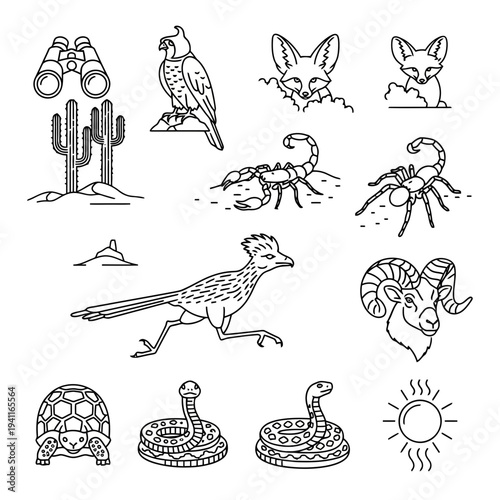 Illustration of descriptive illustration of various desert animals and objects in line art style