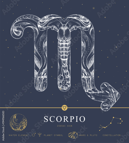 Modern magic witchcraft card with astrology Scorpio zodiac sign characteristic. Hand drawing art product. Vector illustration