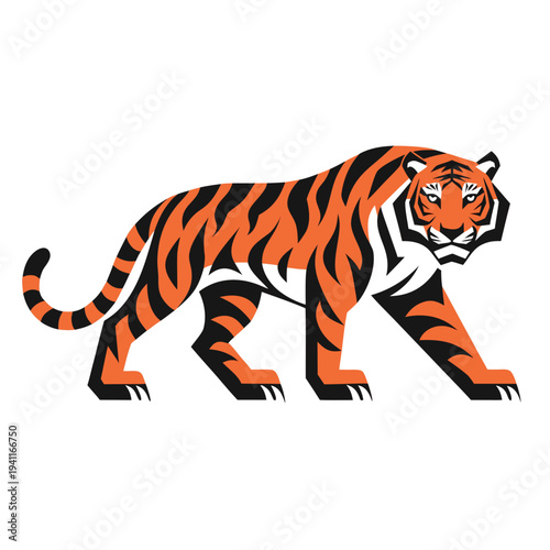 Cute tiger cartoon vector illustration isolated on a white background with striped wild feline animal design
