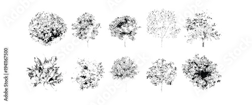 Ten black and white tree silhouettes with varying leaf densities and shapes