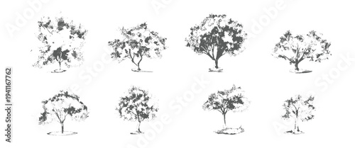 Eight different black and white tree with varying shapes and sizes trees nature