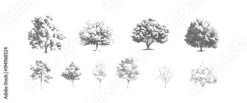 Eight different types of trees in black and white line style line black and white