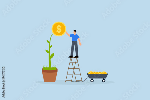 Harvest money from investment profit, Businessman picking dollar coins from growing money tree