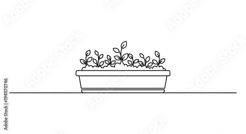 Minimalist continuous line art illustration of young plants growing in a rectangular planter box