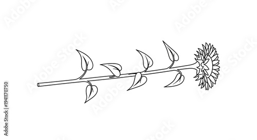 Minimalist black and white line art drawing featuring a single sunflower stem with leaves and bloom