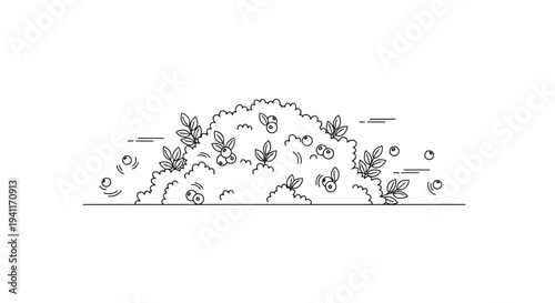 Delightful minimalist line art illustration featuring a vibrant berry bush with ripe fruit and