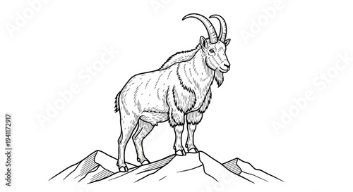 Detailed line art illustration of a wild mountain ibex standing proudly on rugged peaks and rocky