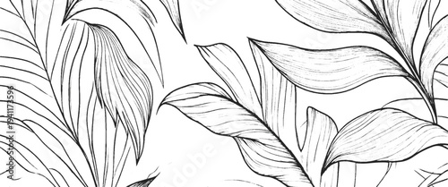 Black and white of large tropical leaves with visible veins and patterns large leaves