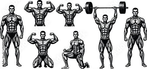 Bodybuilding male silhouettes in muscular poses, flexing arms, lifting weights, anatomical strength illustration, fitness training, athletic physique design collection