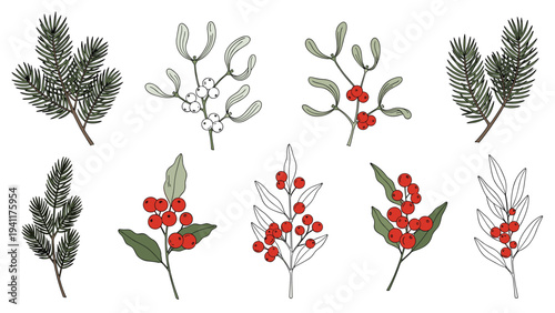 Collection of winter themed foliage including pine branches, holly with red berries, and mistletoe in a classic hand drawn botanical style.