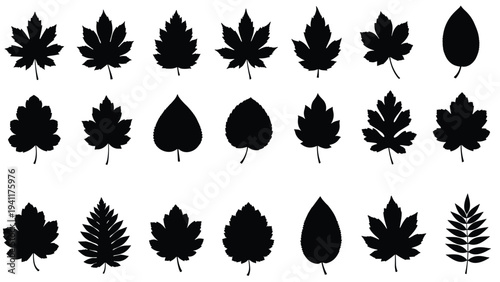 Comprehensive grid of twenty one black silhouettes of various tree leaves and foliage shapes on a plain white background for identification.