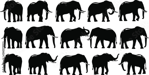 Elephant silhouette vector illustration with diverse poses, trunk movements, animal artwork design, wildlife concept, nature strength artwork collection