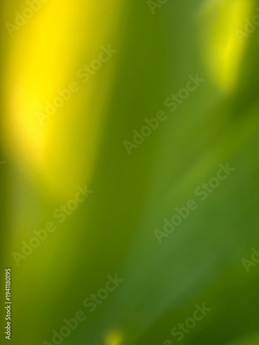 Abstrakter grüner und gelber Farbverlauf – weicher natürlicher Hintergrund Frühling