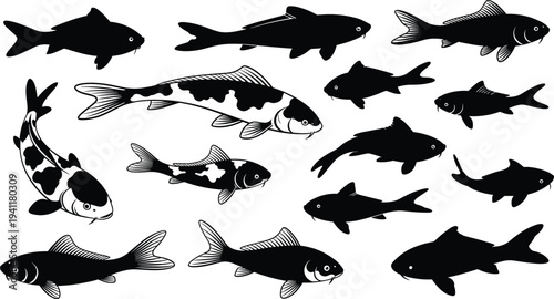Fish silhouette vector illustration with koi artwork, aquatic species design concept, marine wildlife collection, decorative nature pattern