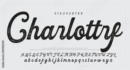 Script Brush Font Type Font lettering handwritten. vector illustration