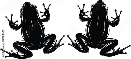 Frog silhouettes with symmetrical posture, splayed toes, crouched stance, animal forms, biology, symmetry, nature illustration