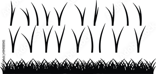 Grass silhouette set with various lawn blades and natural grass border elements isolated on white background for garden and landscape design