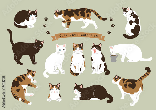 Cute cat various poses illustration set