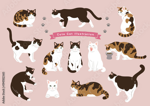 Cute cat various poses illustration set