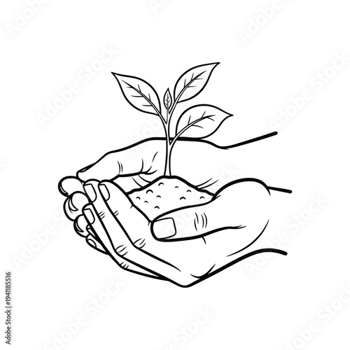 Human Hands Holding Growing Plant Seedling with Soil Nature Care Line Art Vector illustration,