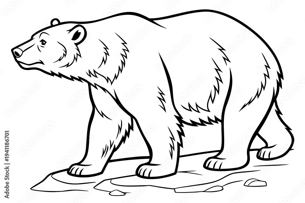 Obraz premium Bear Coloring Book Page Vector Illustration – Black White Bold Line Art, Printable A4, SVG Style, Isolated on White Background