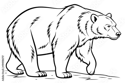 Bear Coloring Book Page Vector Illustration – Black White Bold Line Art, Printable A4, SVG Style, Isolated on White Background