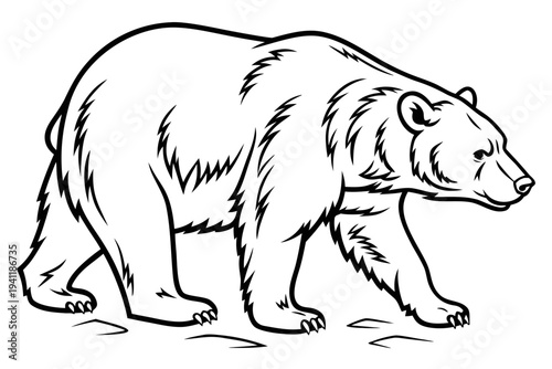 Bear Coloring Book Page Vector Illustration – Black White Bold Line Art, Printable A4, SVG Style, Isolated on White Background