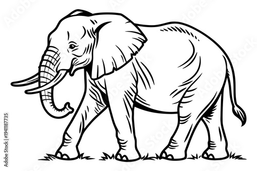 Elephant Coloring Book Page Vector Illustration – Black White Bold Line Art, Printable A4, SVG Style, Isolated on White Background