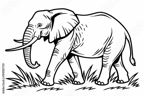 Elephant Coloring Book Page Vector Illustration – Black White Bold Line Art, Printable A4, SVG Style, Isolated on White Background