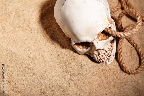 Human skull with rope on sa...