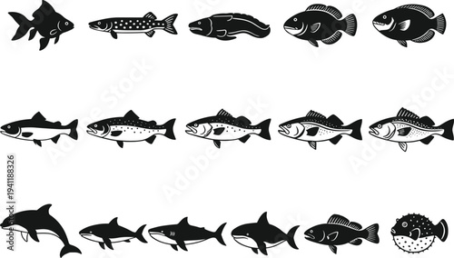 Marine animal silhouette vector illustration with fish, shark, dolphin artwork, aquatic wildlife design concept, biodiversity collection