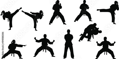 Martial arts silhouettes performing diverse combat techniques, karate kicks, taekwondo stances, judo grappling, kung fu moves, instructor neutral pose
