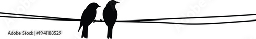 Two birds sitting on electric wire silhouette, crow raven couple perched together, wildlife nature scene, minimal black animal vector design