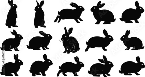 Mega Collection of Lotus Line Art Floral Silhouettes Nature Icons Fruit Vegetable Food Symbols and Rabbit Animal Shapes Vector Bundle (20 words)