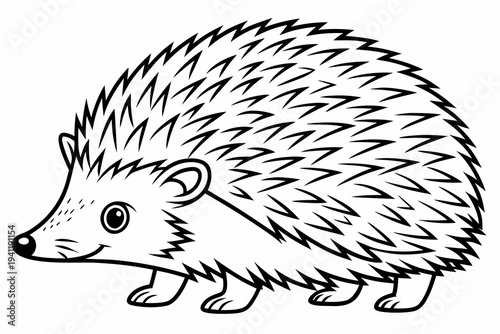 Hedgehog Coloring Book Page Vector Illustration – Black White Bold Line Art, Printable A4, SVG Style, Isolated on White Background