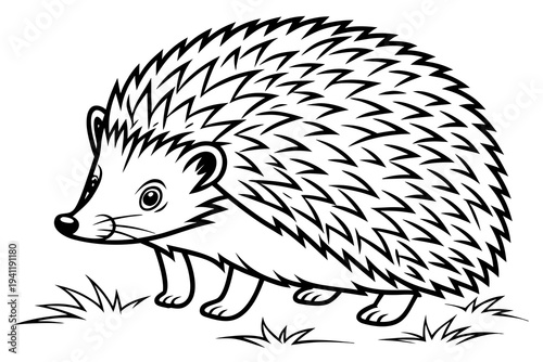 Hedgehog Coloring Book Page Vector Illustration – Black White Bold Line Art, Printable A4, SVG Style, Isolated on White Background