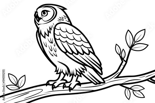 Owl Coloring Book Page Vector Illustration – Black White Bold Line Art, Printable A4, SVG Style, Isolated on White Background