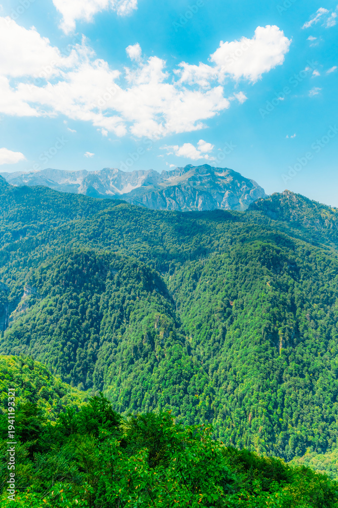 Obraz premium The ancient primeval forest of Perucica with the majestic Skakavac waterfall, one of the last remaining rainforests in Europe, Sutjeska National Park.