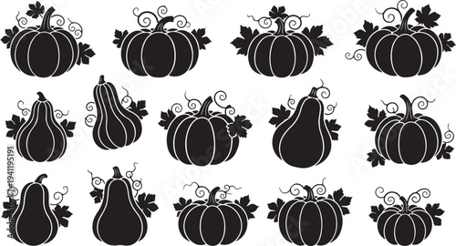 Black and white illustration of various pumpkin shapes