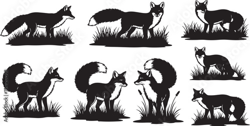 Set of fox silhouettes in various poses and grass