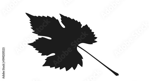 Elegant black silhouette of a grapevine leaf on a pure white background botanical design element