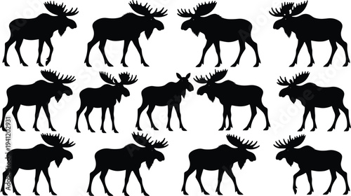 Moose silhouettes collection, wild elk animal poses set, forest wildlife vector isolated illustration design