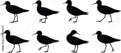 Walking shorebird silhouettes collection, coastal bird animal movement poses set, wildlife nature vector isolated illustration design