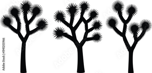 Joshua tree silhouette illustration, desert landscape plants, southwestern nature scene, spiky branches, wilderness environment, iconic flora, arid beauty