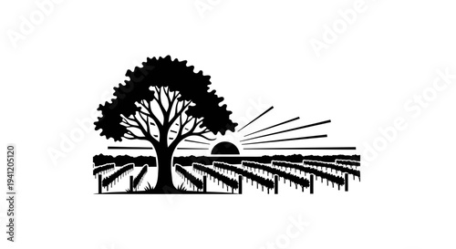 Serene vineyard landscape with a majestic tree silhouetted against a radiant sunrise vista