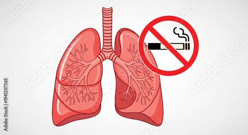 Human lungs with bronchial tree and no smoking symbol health and wellness concept