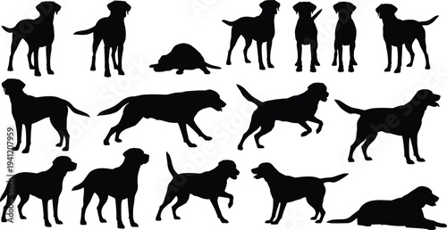 Silhouettes of dogs in diverse poses, standing, sitting, running, jumping, lying down, showcasing playful, active, and relaxed canine behaviors