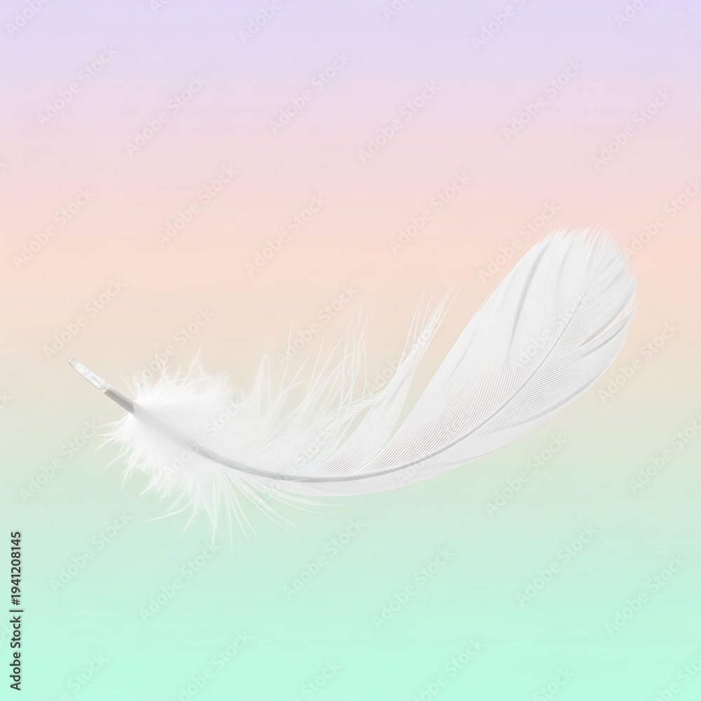 Obraz premium White feather on pastel colored background.