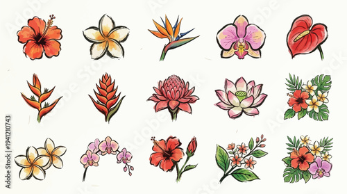 A vibrant collection of tropical flowers, showcasing diverse species and colors in a detailed illustration.