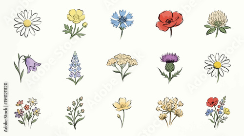 A charming watercolor illustration featuring a collection of fifteen distinct wildflowers, each rendered with delicate detail and vibrant colors against a clean white background.